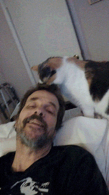 Lucky the cat